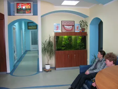 Стоматологічна клініка "Порцеляна" — фото 2