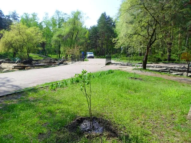 Навколо Русалоньки у парку 50-річчя тепер не лише озеро (Фото) — фото 1