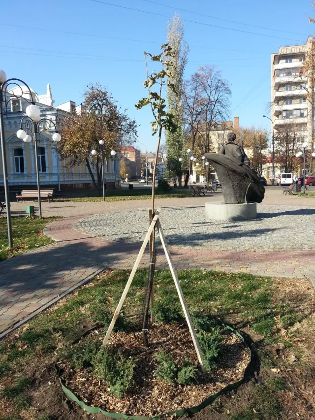 У Черкасах оновлено Симоненківський сквер — фото 2
