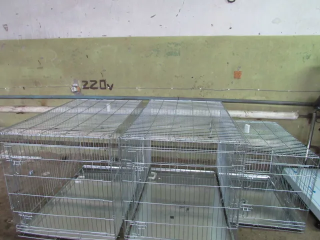 Канів отримав обладнання вартістю 120 тисяч гривень для гуманного вирішення проблеми безпритульних тварин — фото 1
